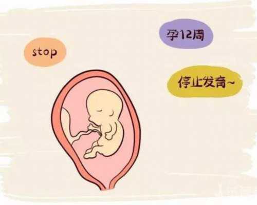 四川二胎供卵试管 四川省人民医院试管婴儿技术怎么样? ‘孕囊7*4是男孩女孩’