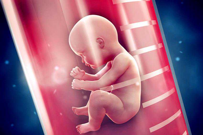 温州允许代孕吗 2022温州附二医试管婴儿成功率一览 ‘3个月彩超怎么看男孩女