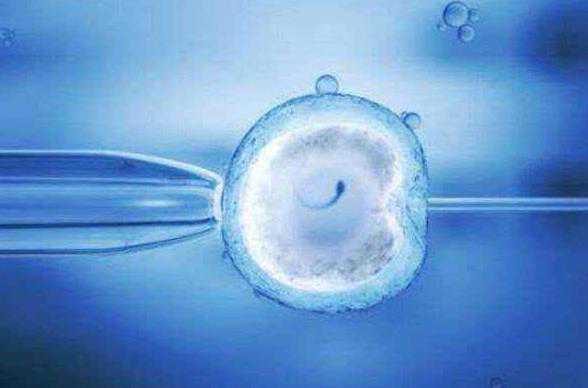 海南慈铭博鳌三代12万 2023
海南试管助孕机构排名最新发布 ‘四维单子上有男女